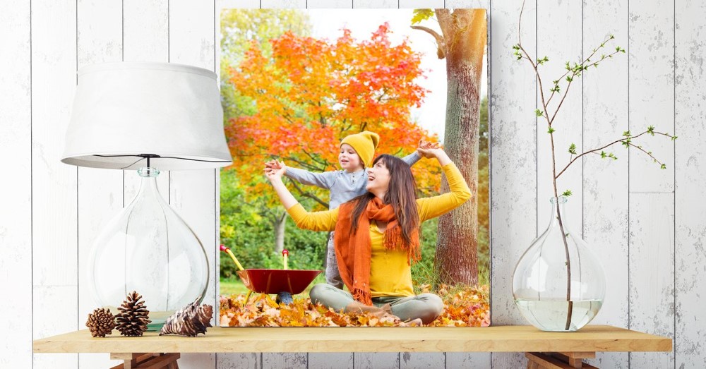 5 raisons de vous lancer dans la photographie en automne 2018 feuillage