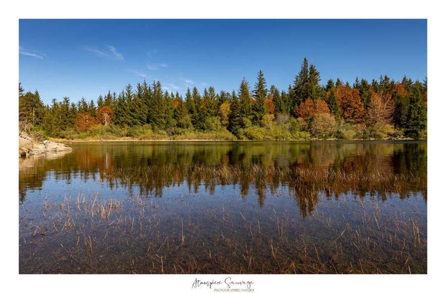 1-cours-stages-formations-photo-nature-amateur-debutant-gard-lozere-cevennes-apprendre-photo-montpellier-le-vigan-millau-ales