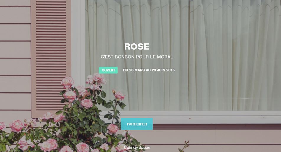1054117227-ROSE