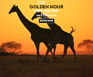 300x250-coinaphoto-gdnads-golden