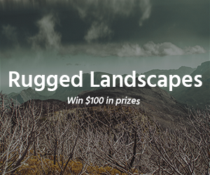 300x250-coinaphoto-gdnads-rugged