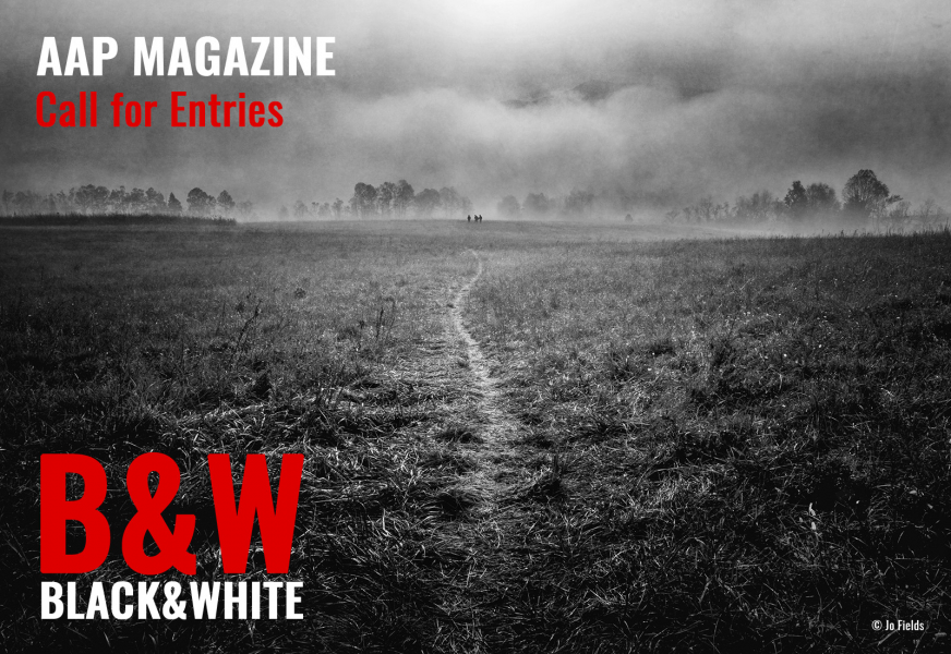 ad-mail-1600x1100-151-aapm49-b-w-2025-1