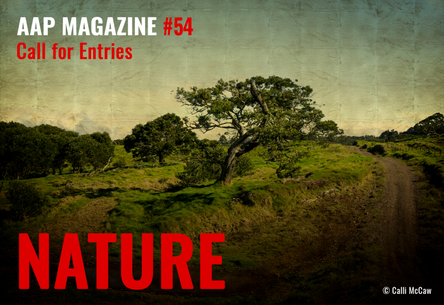 ad-mail-1600x1100-184-aapm54-nature-2025-6