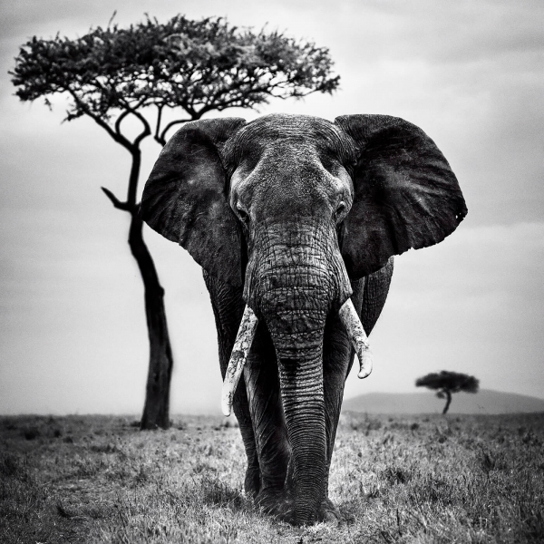 africa-16