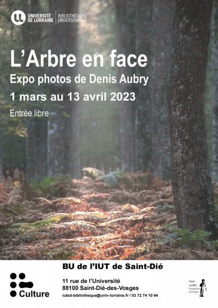 arbreenfaceiut-stdiel-copie