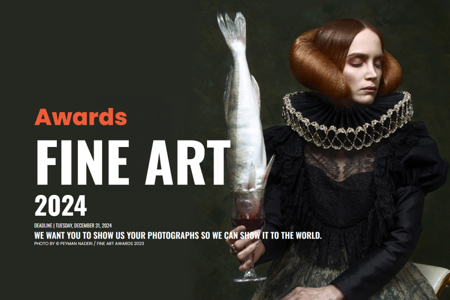 banner-fine-art