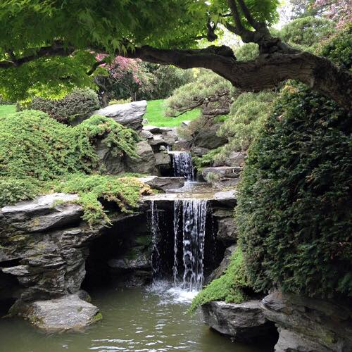 bassin-japonais22