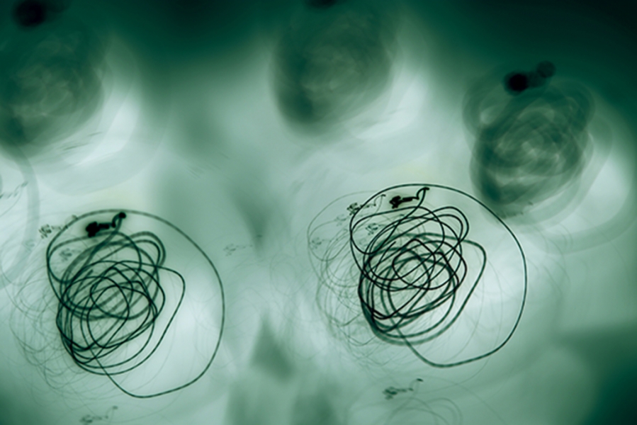 c-r-d-sans-titre-2-de-la-serie-perception-du-silence-60-x-90cm