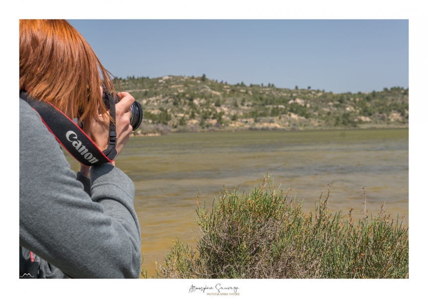 charlotte-stage-photo-nature-cours-photo-formation-occitanie-herault-gard-aude-lozere-narbonne-beziers-photographe-nature-sandra-berenice