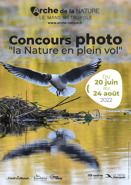 concours-photos-2022-web-1168