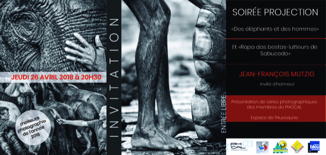 flyer-e-le-phant-officiel-copie-2