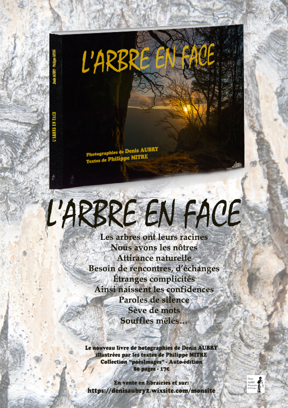 l-arbre-en-face-2