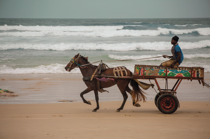noreyni-borom-sarette-dakar-senegal-18