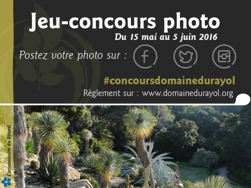 Paysage2BD