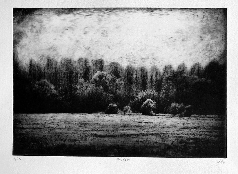 photogravure-daniel-nassoy-007