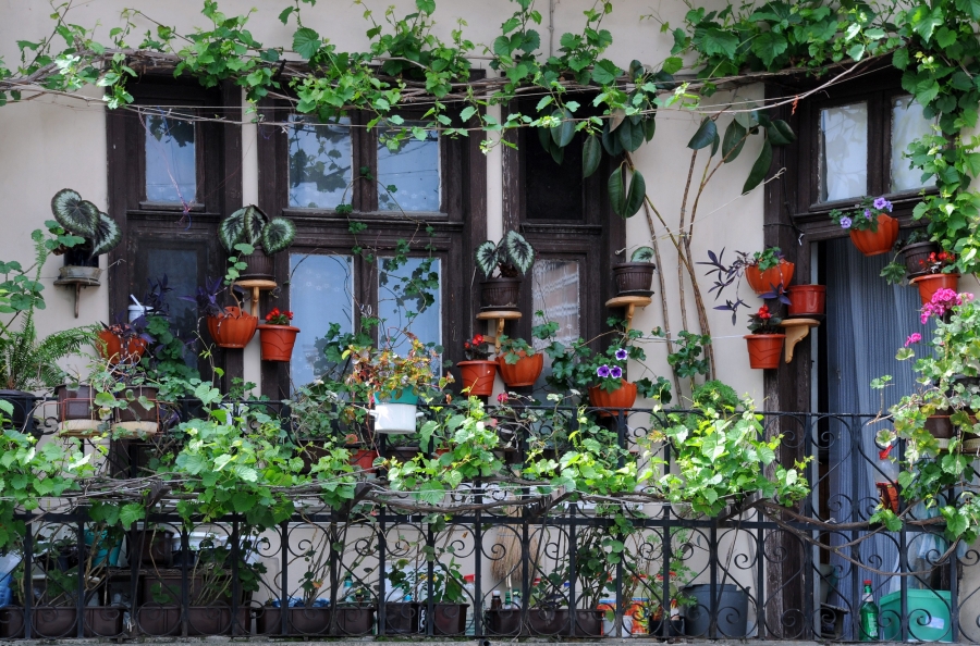 zz-concours-jardinature
