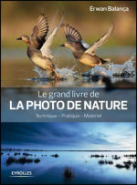 photo animaliere