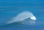 Image Active
