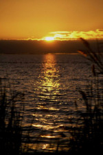 Image Active