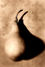 Image Active