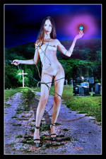 Image Exemple