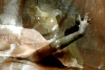 Image Exemple