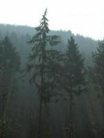 Image Exemple