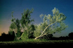 Image Exemple