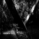 Photographe : Eric Mathy