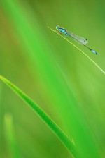 Photographe : Raphaelle Strach