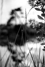 Photographe : Mehdi Beziat