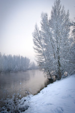 Photographe : Bruno Dupont