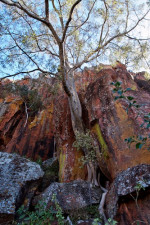 Photographe : Olivier Miniato