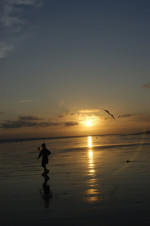Image Active