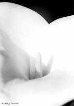 Mary Tunnicliffe