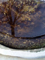 Critique Images par POV et Hervé Cornette