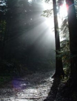 Critique Images par POV et Hervé Cornette