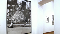 photographie