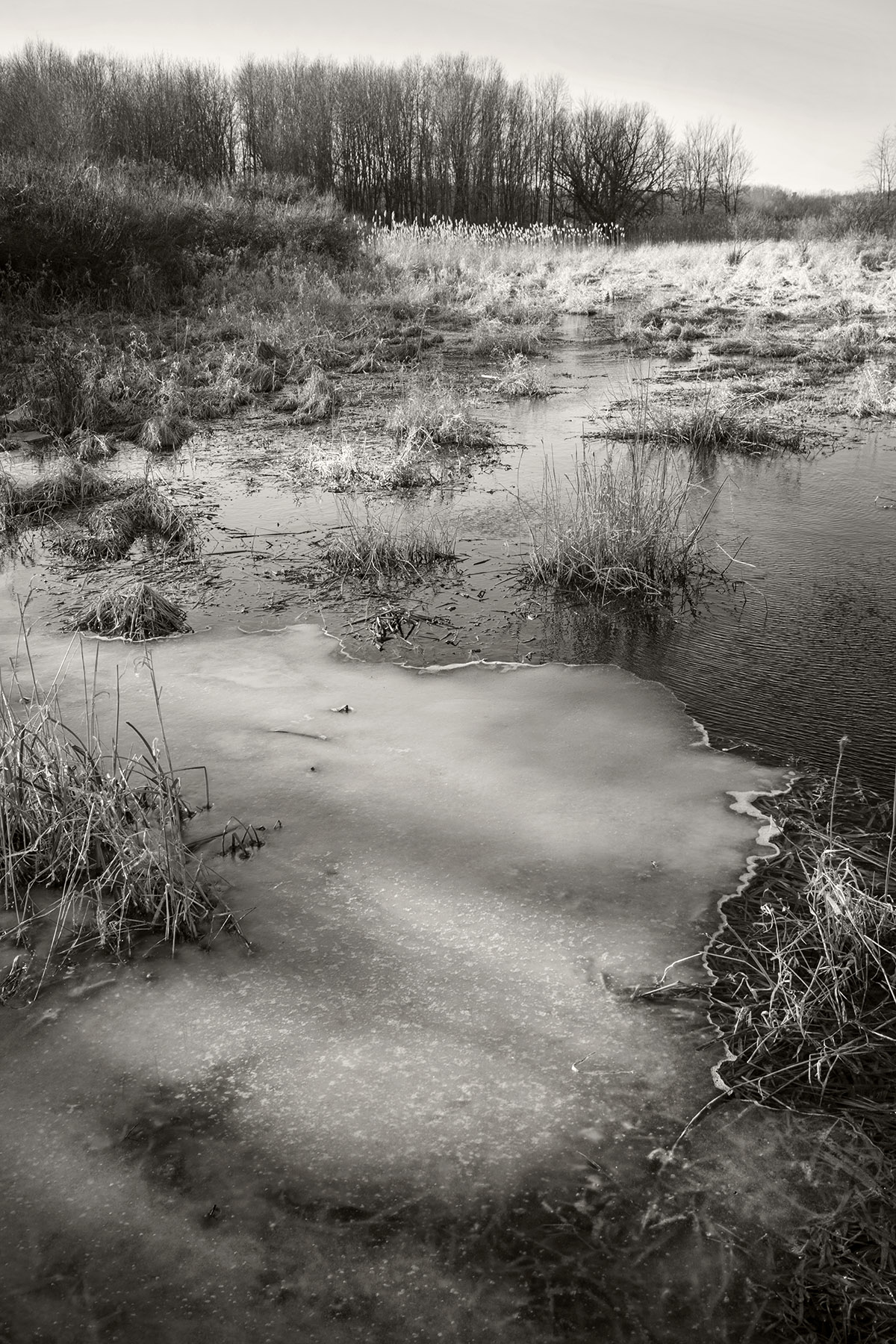 Photo Bruno Chalifour