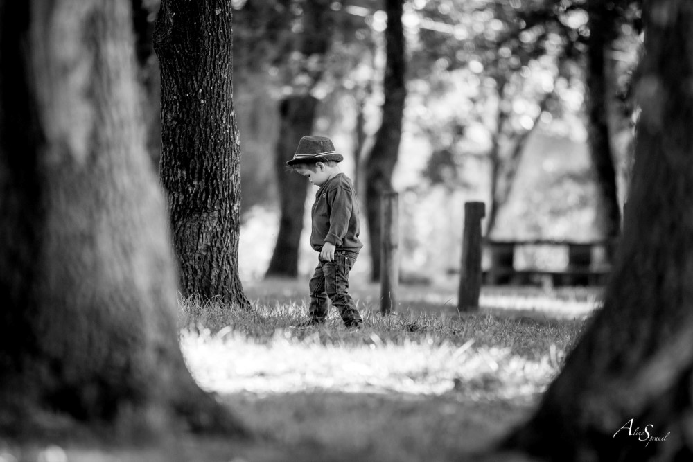 Photo Aline Sprauel