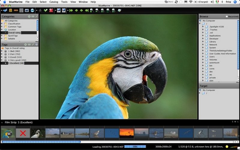 mt_popup:BlueMarine - 4 Look Lightroom