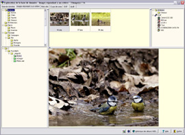 mt_popup:12 Exploration par critères