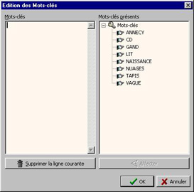 mt_popup:17 Edition des mots-clés