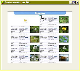 mt_popup:12 Skin Bluepro