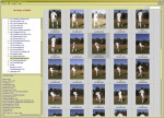 LRViewer de ImageIngester