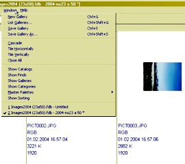 mt_popup:10 Menu Window