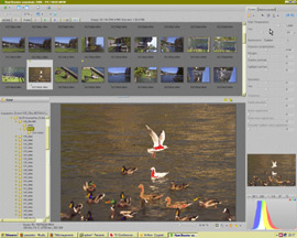 mt_popup:14 Zone surex poussée