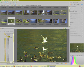 mt_popup:17 Colorisation