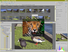 mt_popup:19 Raw Shooter Essential