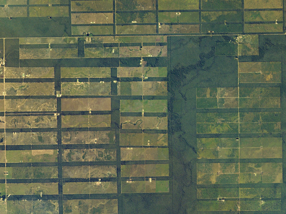 Chaco Boreal - Paraguay Chaco Boreal - Paraguay